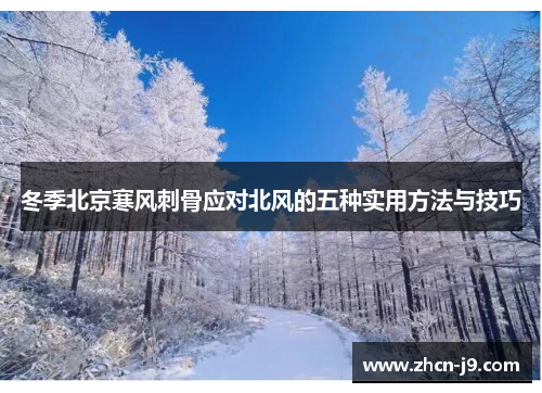 冬季北京寒风刺骨应对北风的五种实用方法与技巧