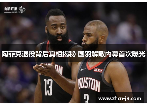 陶菲克退役背后真相揭秘 国羽解散内幕首次曝光